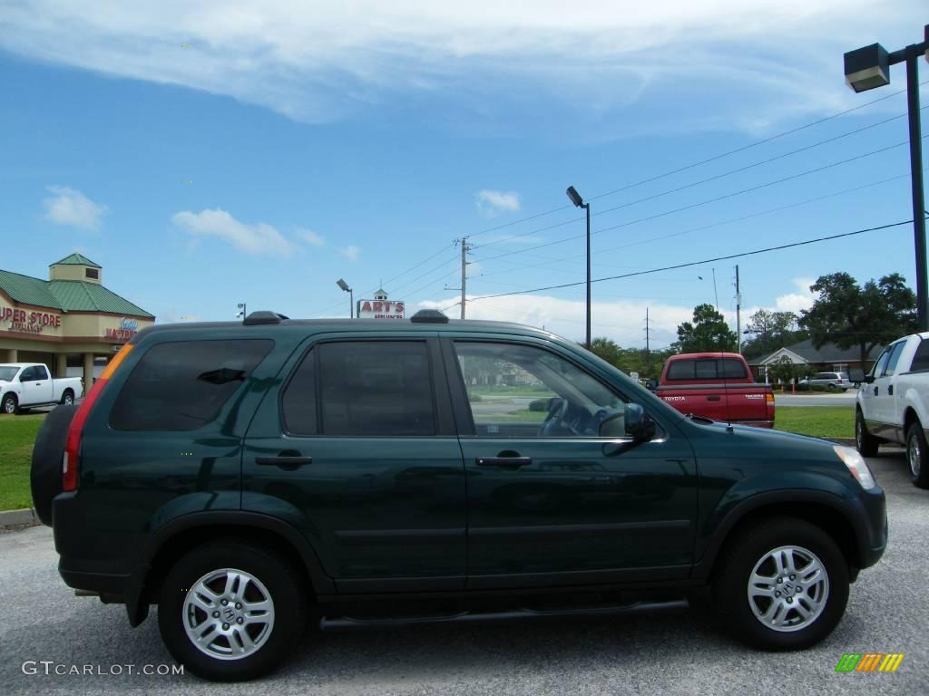 2003 CR-V EX 4WD - Clover Green Pearl / Saddle photo #6
