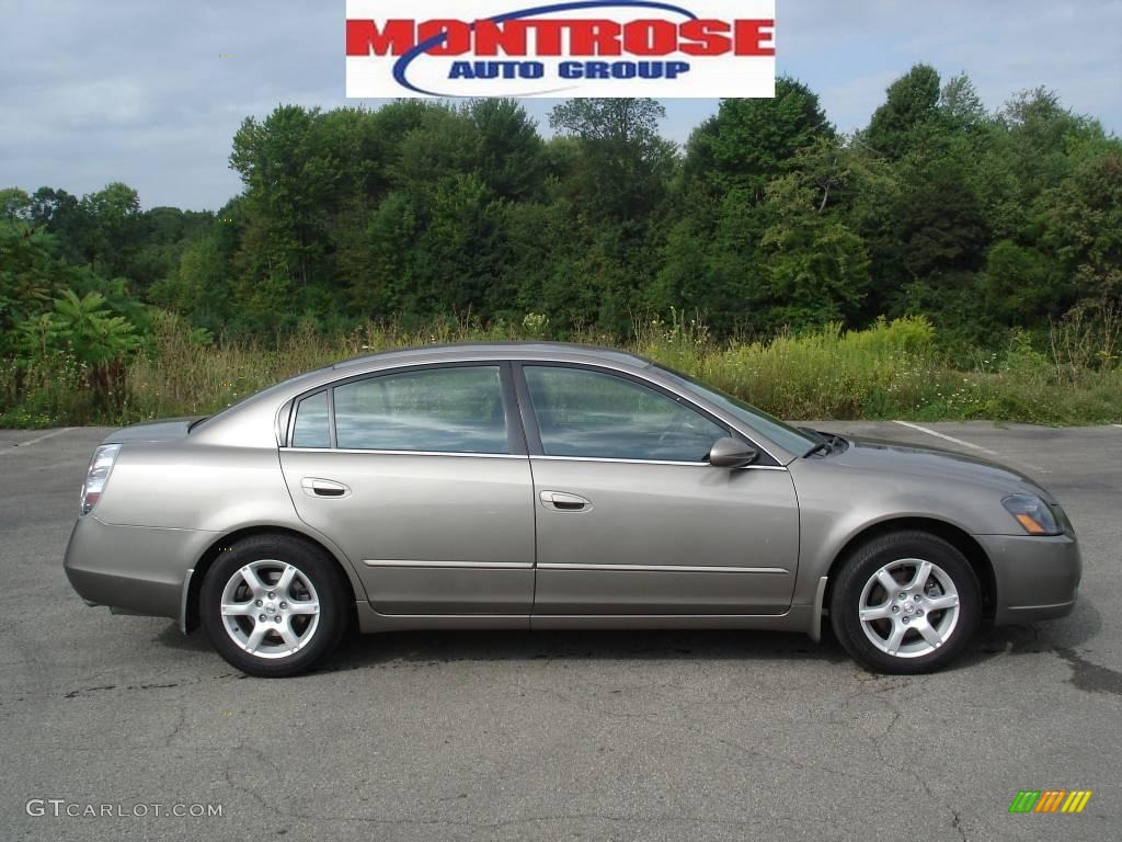 2006 Altima 2.5 S Special Edition - Polished Pewter Metallic / Charcoal photo #1