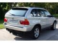 Titanium Silver Metallic - X5 4.4i Photo No. 7