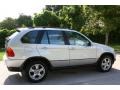 Titanium Silver Metallic - X5 4.4i Photo No. 8