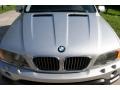 2001 Titanium Silver Metallic BMW X5 4.4i  photo #12