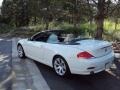 2007 Alpine White BMW 6 Series 650i Convertible  photo #13