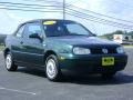 2000 Bright Green Pearl Volkswagen Cabrio GL  photo #9