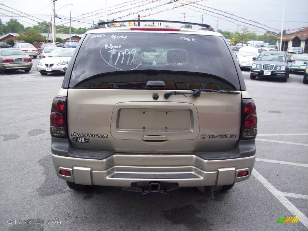 2002 TrailBlazer LS 4x4 - Light Pewter Metallic / Light Pewter photo #4