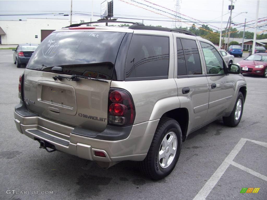 2002 TrailBlazer LS 4x4 - Light Pewter Metallic / Light Pewter photo #5