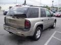 2002 Light Pewter Metallic Chevrolet TrailBlazer LS 4x4  photo #5