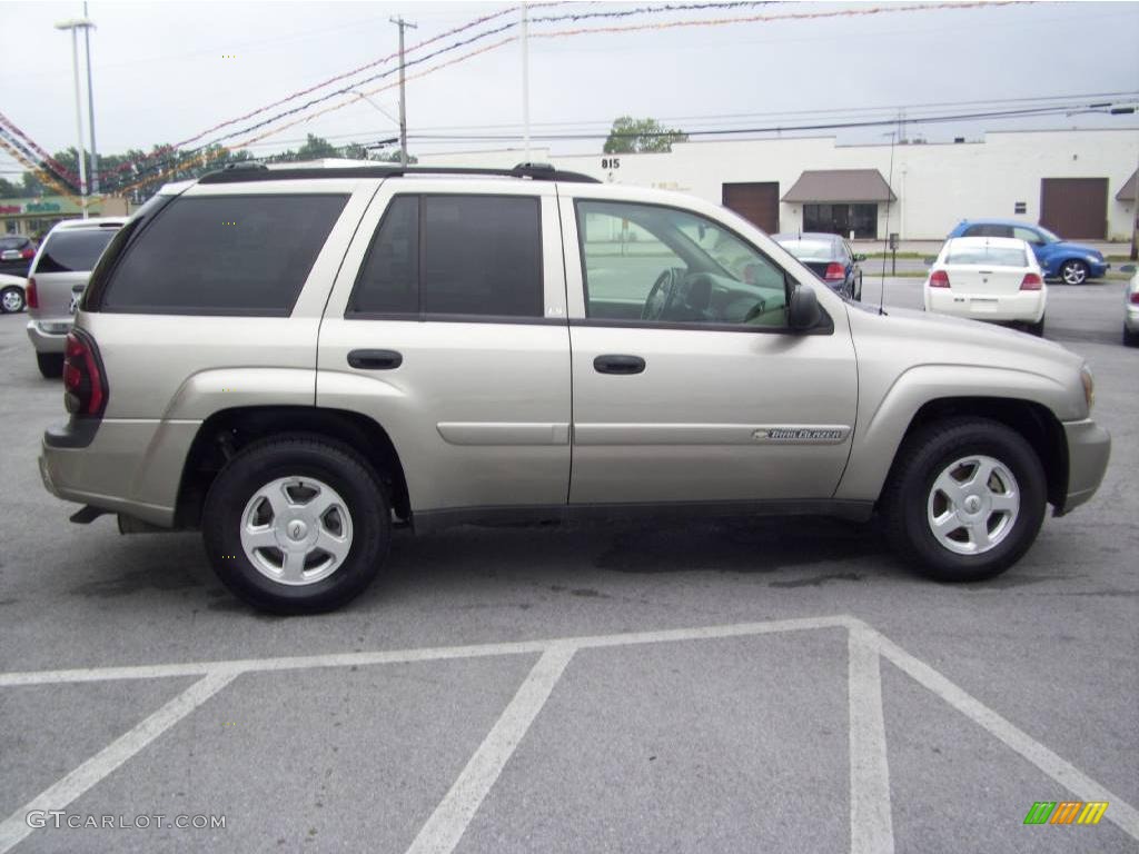 2002 TrailBlazer LS 4x4 - Light Pewter Metallic / Light Pewter photo #6