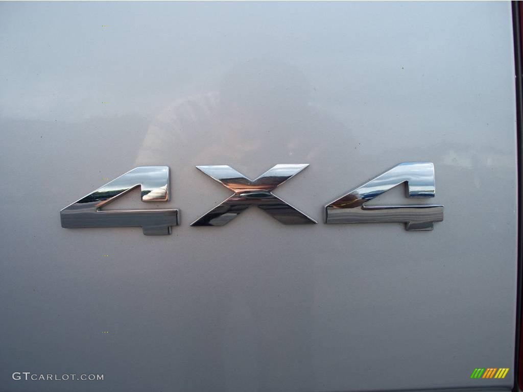 2006 Ram 1500 ST Regular Cab 4x4 - Bright Silver Metallic / Medium Slate Gray photo #6