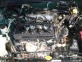 Jaded Pearl - Sentra GXE Photo No. 16