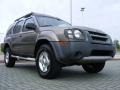 Granite Metallic - Xterra XE V6 Photo No. 7