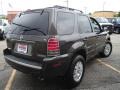 Charcoal Beige Metallic - Mariner Luxury Photo No. 5