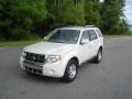 2009 Light Sage Metallic Ford Escape Limited V6  photo #1