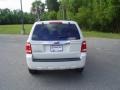 2009 Light Sage Metallic Ford Escape Limited V6  photo #6