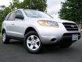 Bright Silver - Santa Fe GLS 4WD Photo No. 1
