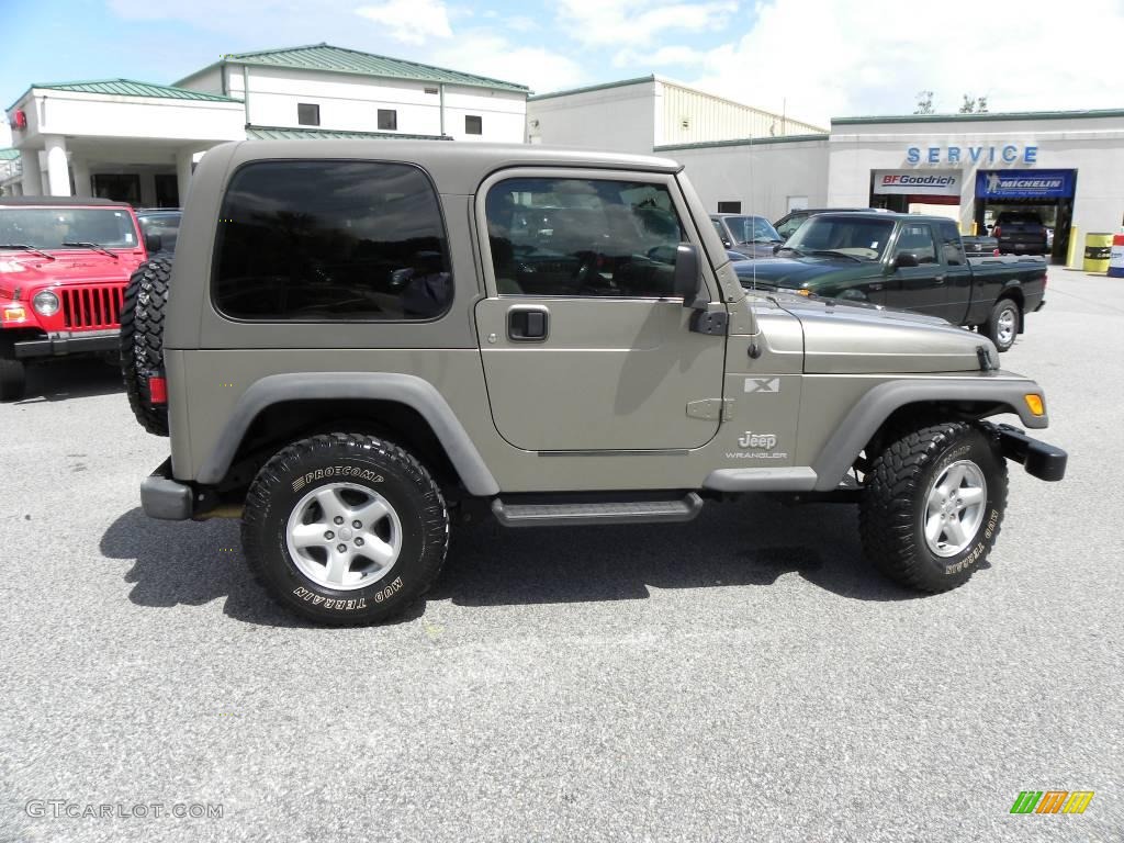 2004 Wrangler X 4x4 - Light Khaki Metallic / Khaki photo #9