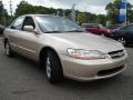 Naples Gold Metallic - Accord SE Sedan Photo No. 7