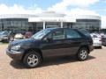 Black Onyx - RX 300 Photo No. 1