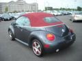 2005 Platinum Grey Metallic Volkswagen New Beetle Dark Flint Edition Convertible  photo #3