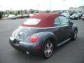 Platinum Grey Metallic - New Beetle Dark Flint Edition Convertible Photo No. 5