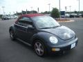 2005 Platinum Grey Metallic Volkswagen New Beetle Dark Flint Edition Convertible  photo #7