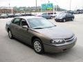 Bronzemist Metallic - Impala  Photo No. 9