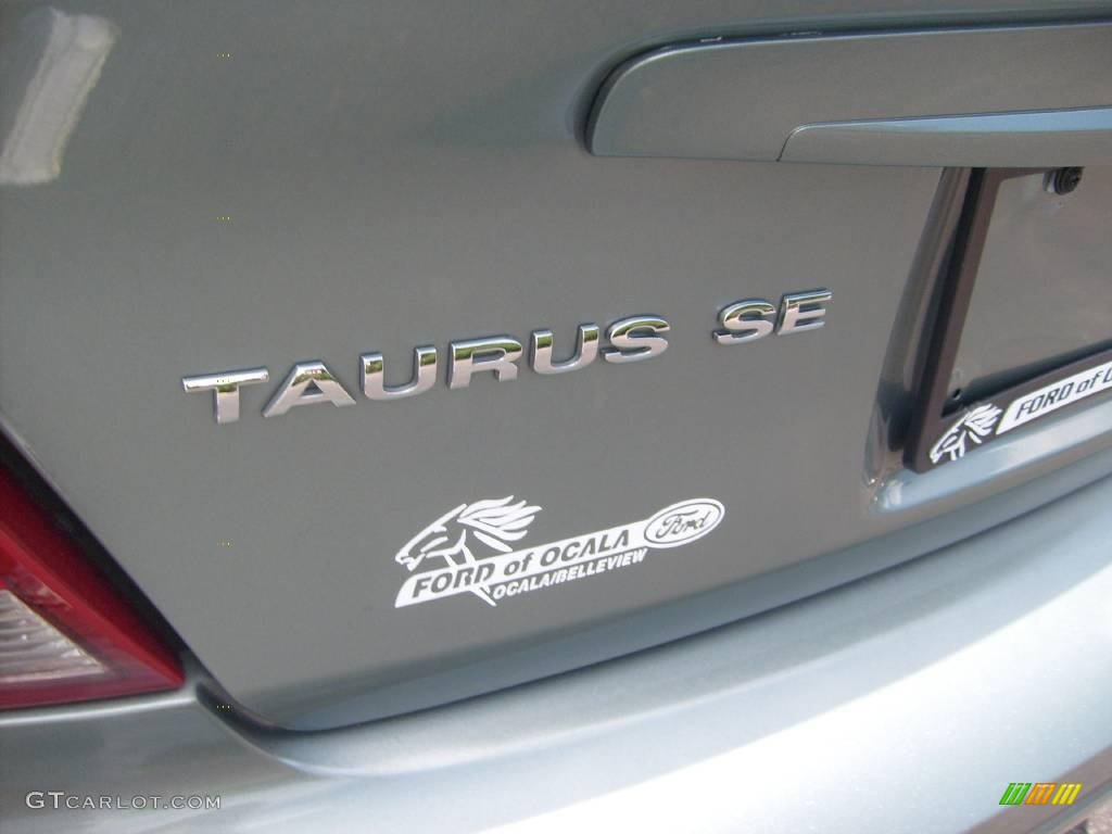 2006 Taurus SE - Light Tundra Metallic / Medium/Dark Flint Grey photo #10