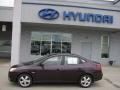 2007 Purple Rain Hyundai Elantra Limited Sedan  photo #3