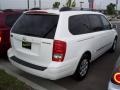 Cosmic White - Entourage GLS Photo No. 2