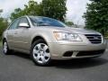 2009 Camel Pearl Hyundai Sonata GLS V6  photo #1