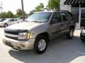 2003 Light Pewter Metallic Chevrolet TrailBlazer LS  photo #1