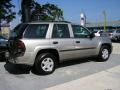 2003 Light Pewter Metallic Chevrolet TrailBlazer LS  photo #6