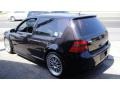 Black Magic Metallic - R32  Photo No. 4