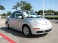 Reflex Silver - New Beetle 2.5 Coupe Photo No. 7