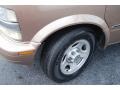 2003 Bronzemist Metallic Chevrolet Astro   photo #26