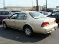 Pebble Beige Metallic - Maxima GLE Photo No. 6