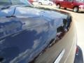 2006 Brilliant Black Crystal Pearl Chrysler 300   photo #26