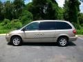 2002 Light Almond Pearl Dodge Grand Caravan eX  photo #5