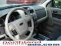 2009 Light Sage Metallic Ford Escape XLT  photo #10