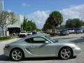 Arctic Silver Metallic - Cayman S Photo No. 2