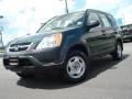 Clover Green Pearl - CR-V LX Photo No. 1
