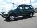 Clover Green Pearl - CR-V LX Photo No. 2