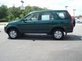 Clover Green Pearl - CR-V LX Photo No. 3