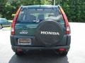 Clover Green Pearl - CR-V LX Photo No. 5