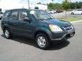 Clover Green Pearl - CR-V LX Photo No. 8