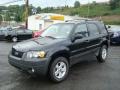 2007 Black Ford Escape XLT V6  photo #7