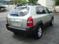 2006 Sahara Silver Hyundai Tucson GLS V6  photo #4