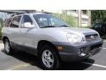 2001 Pewter Hyundai Santa Fe GLS V6  photo #6