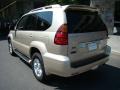 Savannah Beige Metallic - GX 470 Photo No. 4