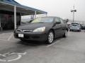 2006 Graphite Pearl Honda Accord LX V6 Sedan  photo #1
