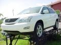 Crystal White - RX 350 Photo No. 1